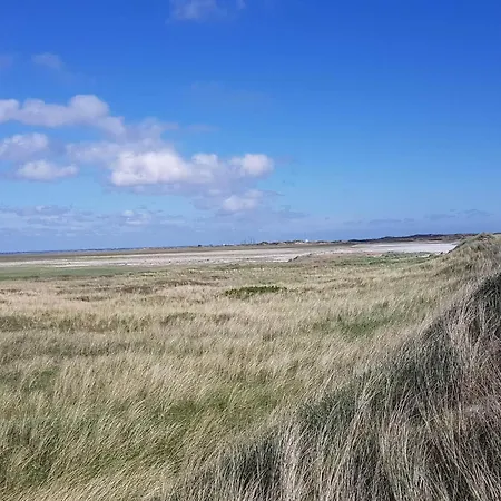 8 Person In Blavand Σπίτι διακοπών Ho